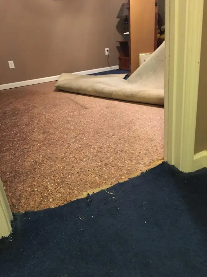 Carpet pad removal revealing water damage during Water Mitigation Services in New London